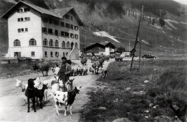 Un berger et son troupeau devant l’hôtel Couttet