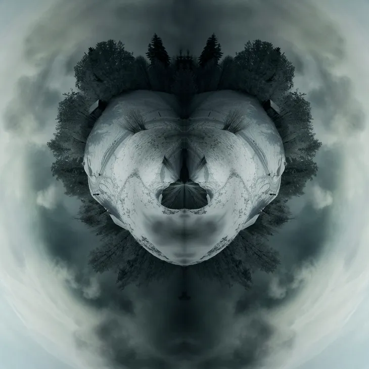Mirror bear _15