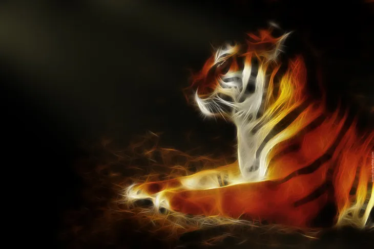 Tigre Fractalius