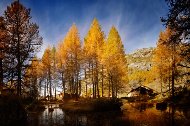 Le Monal et ses Mélèzes en Automne