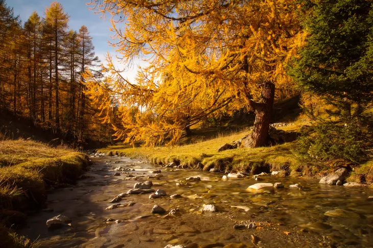 Le ruisseau du clou en Automne
