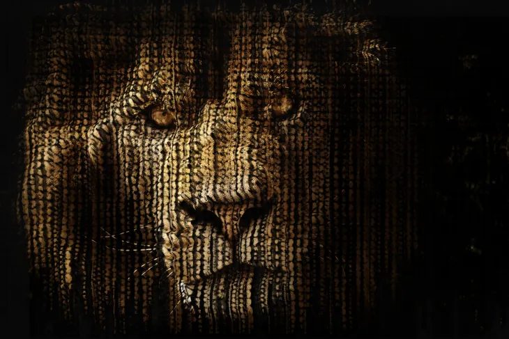 Lion Matrix