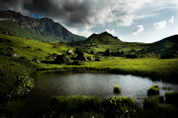 Le plan de la laie en été