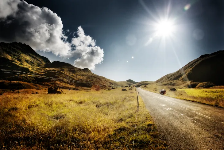Le plan de la laie en été