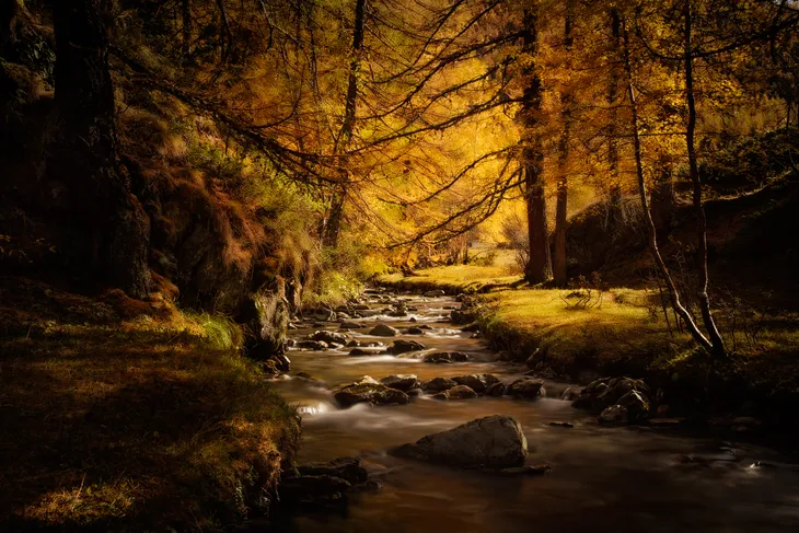 Le ruisseau du clou en Automne
