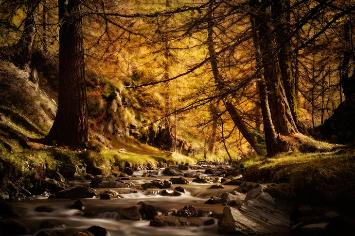 Le ruisseau du clou en Automne